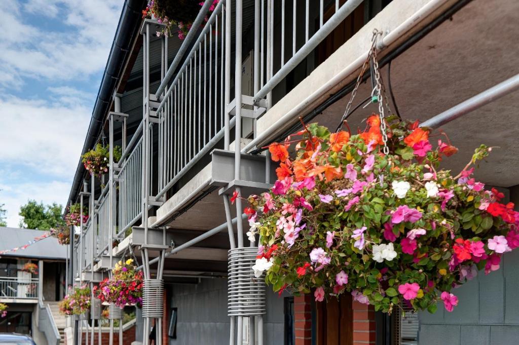 Country Glen Lodge Christchurch Ngoại thất bức ảnh